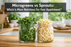 What's more nutritious for apartments: microgreens or sprouts?