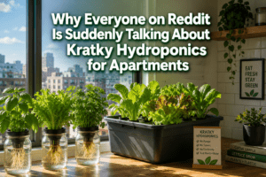 Why Everyone on Reddit Is Suddenly Talking About Kratky Hydroponics for Apartments